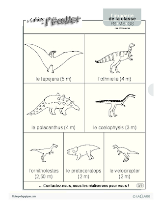 Imagerie: les dinosaures