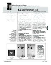 Jardiner (3) / La germination (2)