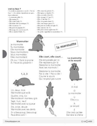 La marmotte  (2)