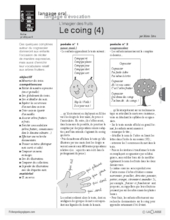 Le coing (4)