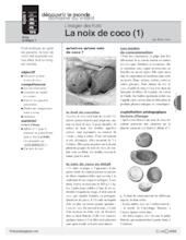 L'imagier des fruits : La noix de coco (1)