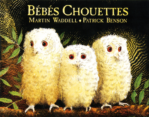 Bébés Chouettes