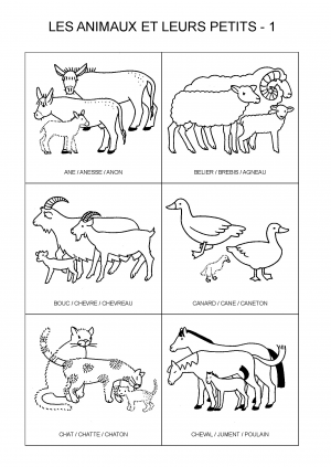 LES ANIMAUX ET LEURS PETITS - 1