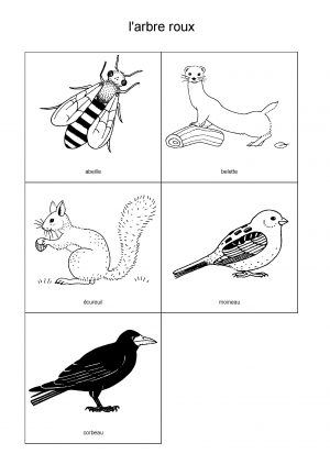 l'arbre roux