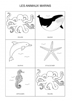 LES ANIMAUX MARINS