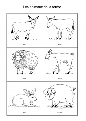 Les animaux de la ferme