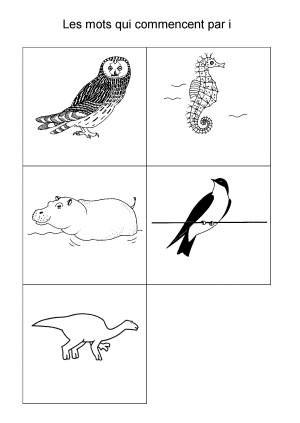 Les mots qui commencent par i
