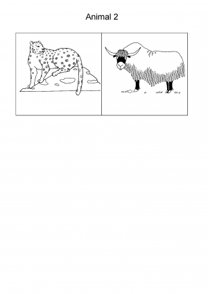 Animal 2