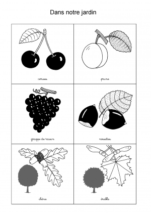 Dans notre jardin 