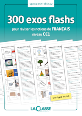 300 exercices flashs de français niveau CE1-CE2