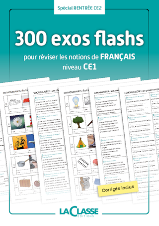 300 exercices flashs de français niveau CE1-CE2