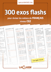 300 exercices flashs de français niveau CE2-CM1