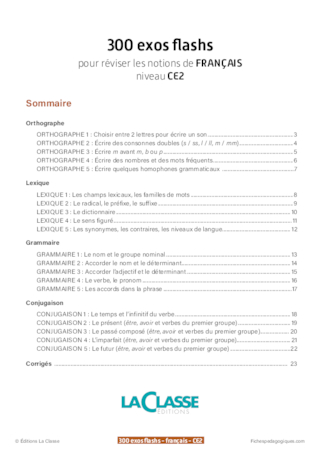 300 exercices flashs de français niveau CE2-CM1