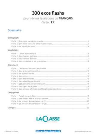 300 exercices flashs de français niveau CP-CE1
