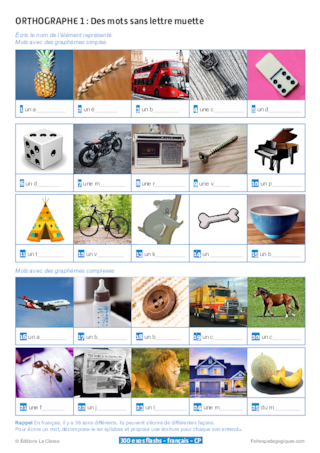 300 exercices flashs de français niveau CP-CE1