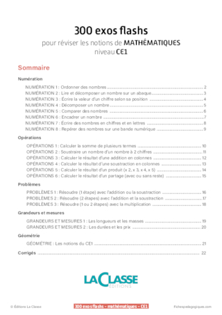 300 exercices flashs de mathématiques niveau CE1-CE2