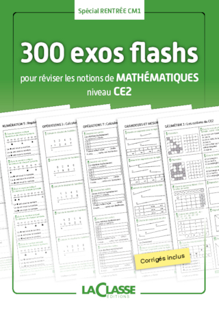 300 exercices flashs de mathématiques niveau CE2-CM1