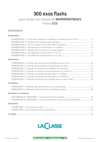 300 exercices flashs de mathématiques niveau CE2-CM1