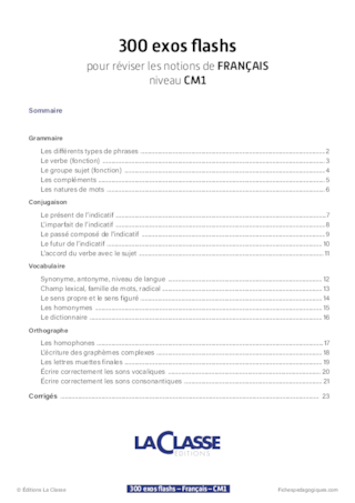 300 exos flashs de français niveau CM1-CM2