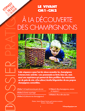 À la découverte des champignons