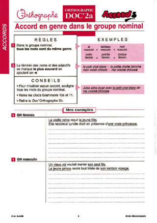 Les accords en genre et en nombre - les règles à retenir