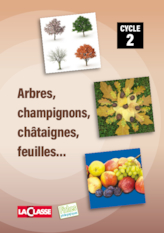 Activités autour de l'automne Cycle 2