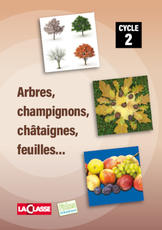 Activités autour de l'automne Cycle 2