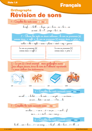 Activités autour de l'été CE1-CE2