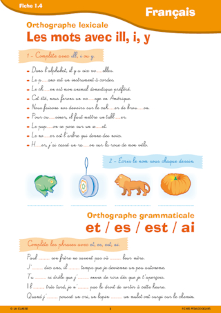 Activités autour de l'été CE2-CM1