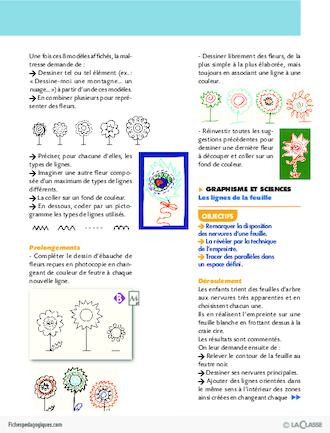 Activités autour de la ligne