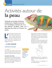 Activités autour de la peau