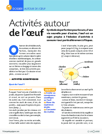 Activités autour de l'oeuf