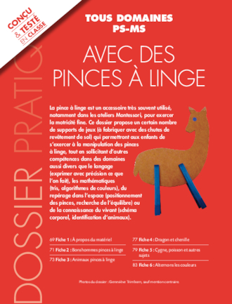 Activités avec des pinces à linges