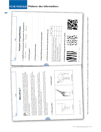 Activités différenciées au CE1. Prélever des informations