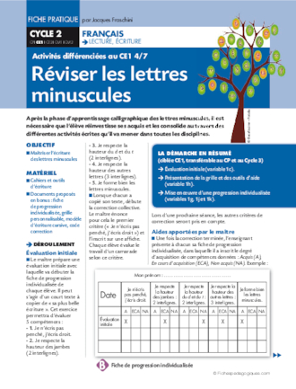 Activités différenciées au CE1. Réviser les lettres minuscules