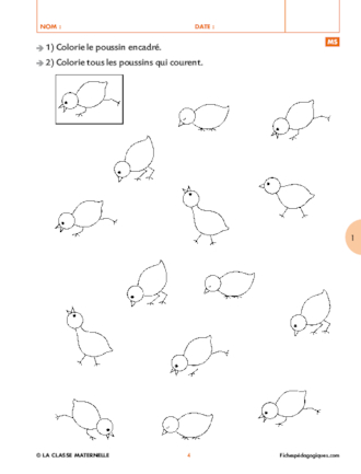 Activités perceptives (1) : topologie