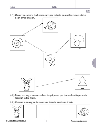 Activités perceptives (4) : ordre