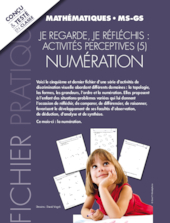 Activités perceptives (5) : numération