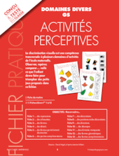 Activités percéptives