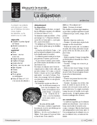 Alimentation : La digestion - Le cru et le cuit