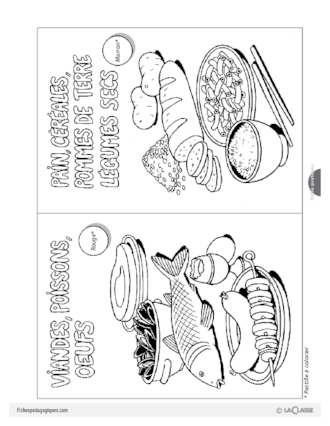 Alimentation : La digestion - Le cru et le cuit