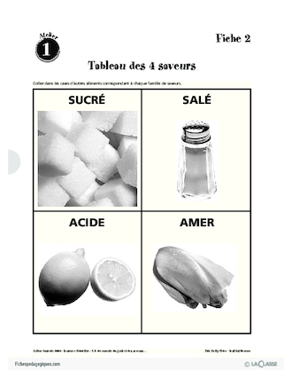 Alimentation : Mise en éveil des papilles