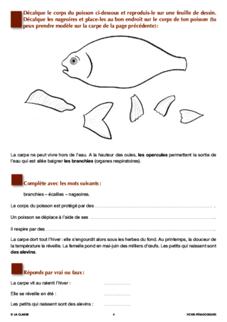 Artus et Ninon (4). Le poisson