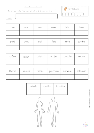Ateliers des mots du corps humain