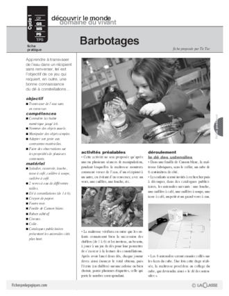 Barbotages