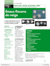 Beaux flocons de neige