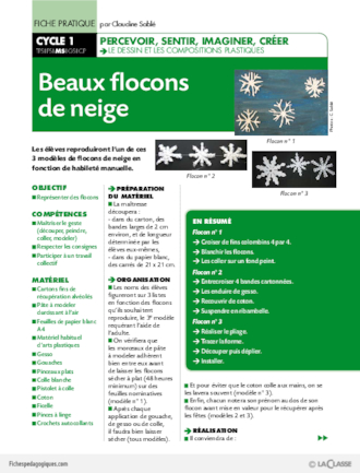 Beaux flocons de neige