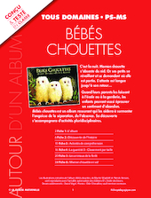 Bébés chouettes