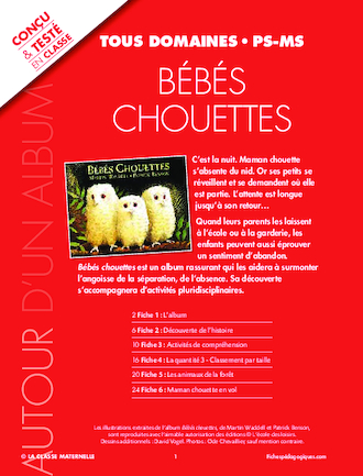 Bébés chouettes