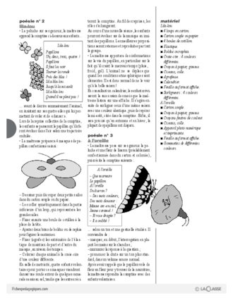 Cajolicomptines (10) / Le papillon